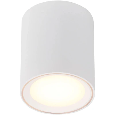 Imagen de Nordlux Lámpara LED de techo Fallon, altura 12 cm
