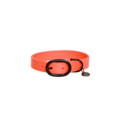 Imagen de Kentucky Dog Collar Soft Rubber