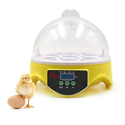Imagen de Incubadora Huevos Gallina, AvíCola, Volteadora Manual de Huevos, Control Inteligente Temperatura, con Pantalla Digital Led, Para Pollos, Patos, Codornices(EU)