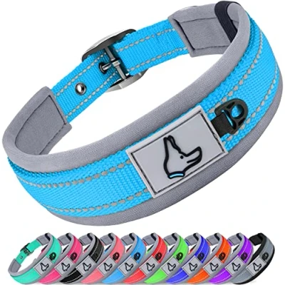 Imagen de Joytale Collar Perro, Resistente Perro Pequeño, Reflectante Ajustable Perros de Acolchado Neopreno Nylon, Cielo Azul, S