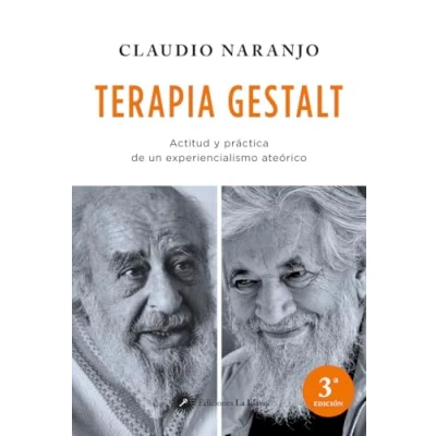 Imagen de Terapia Gestalt: Actitud y práctica de un experienciaalismo ateórico: experiencialismo ateórico (SIN COLECCION)