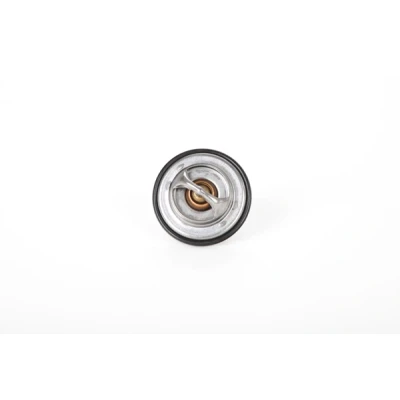 Imagen de Continental 28.0200 4175.2 Termostato, refrigerante 92 67 con junta BMW: 5 Berlina, 3 Coupé