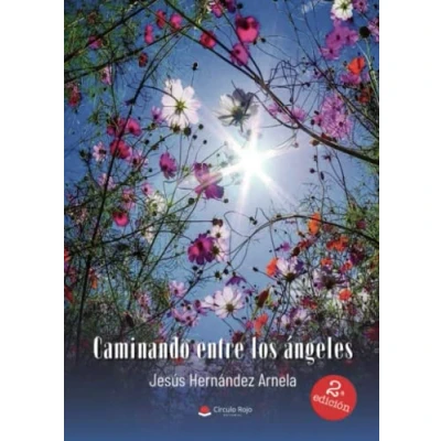 Imagen de Caminando entre los ángeles (SIN COLECCION)