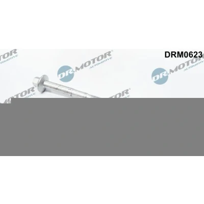 Imagen de DR.MOTOR AUTOMOTIVE DRM0623 Tornillo, soporte inyector FIAT: Ducato III Furgón, PEUGEOT: Boxer FORD: Transit Mk6 Furgón