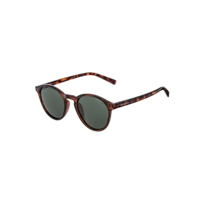 Imagen de Polaroid PLD 1013/S Havana Lentes de Sol Gafas polarizadas