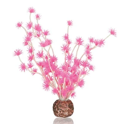 Imagen de biOrb Bola de bonsái en color rosa