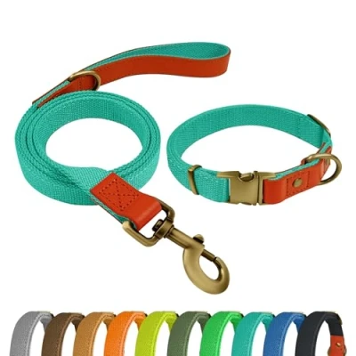 Imagen de Qianruida Conjunto de Collar y Correa Ajustable para Perro Perros Pequeños Medianos Grandes Cian, L