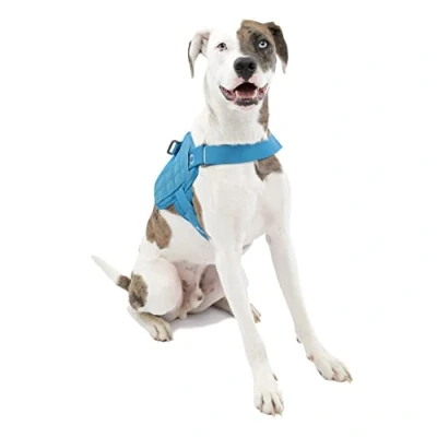 Imagen de Kurgo RSG Townie Arnés de Seguridad para Perros, Adiestramiento Perros Guía, Reflectante, Compatible con MOLLE Azul, M