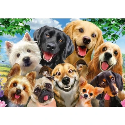 Imagen de Schmidt, Dog Selfie Puzzle 500pc, Puzzle, Ages 12+, 1 Players