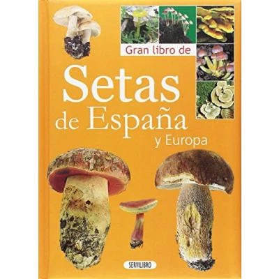 Imagen de GRAN LIBRO DE LAS SETAS EN ESPA?A (SIN COLECCION)