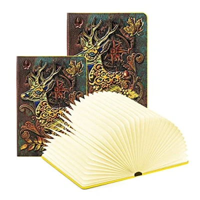 Imagen de DEVASO Ruido Blanco Libro Lámpara LED, 11 Sonidos Ambientales y Luz Led de Mesita Noche, Regalo Cumpleaños Navidad, Cálido
