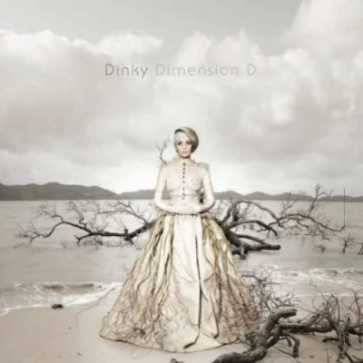 Imagen de Dimension D (vinilo)