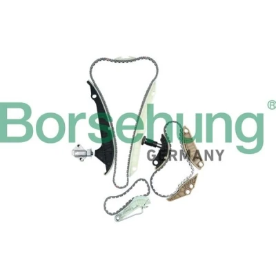 Imagen de Kit de cadena distribución Borsehung B10223