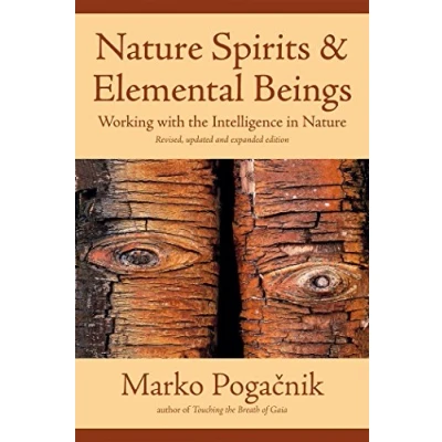 Imagen de Nature Spirits &amp; Elemental Beings (ebook)
