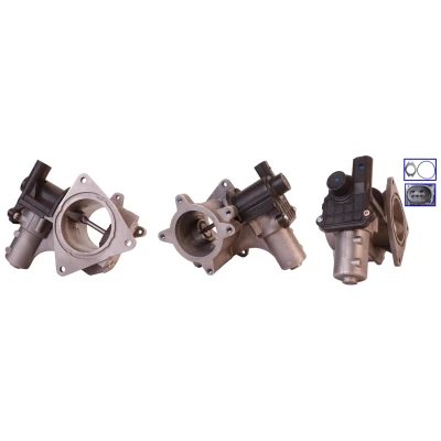 Imagen de DRI 717730058 Válvula EGR eléctrico con juntas VOLKSWAGEN: Transporter 5, Multivan 5 (7HM, Bus
