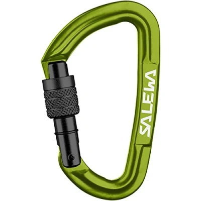 Imagen de SALEWA 00 0000001724 Mosquetón con rosca, Color Fluo Green, Talla única