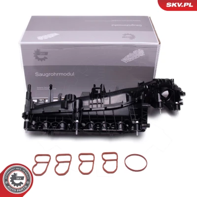 Imagen de Módulo de tubo admisión ESEN SKV 49SKV078