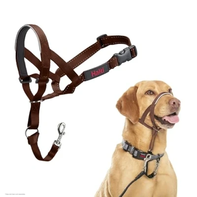 Imagen de Collar Ronzal HALTI para Evitar Que tu Perro Tire de la Correa, Ajustable con Banda Nariz Acolchada. Adiestramiento canino antitirones Perros medianos (Talla 3, Nogal Profundo)
