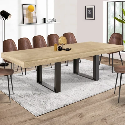 Imagen de IDMarket Phoenix Mesa de comedor extensible rectangular (10 12 personas, madera y negro, 200 300 cm)