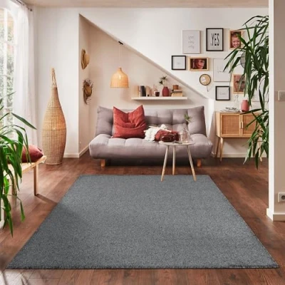 Imagen de Carpettex Teppich Alfombra de Pelo Corto Unicolor para la Sala Estar, Super Suave, tamaños., Color:Gris, Tamano:120x170 cm