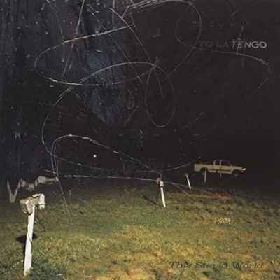 Imagen de This Stupid World