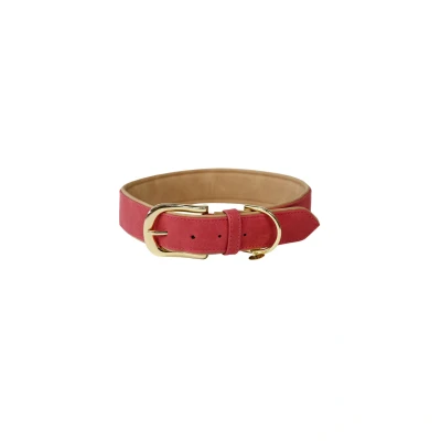 Imagen de Kentucky Dog Collar Soft Vegan Leather