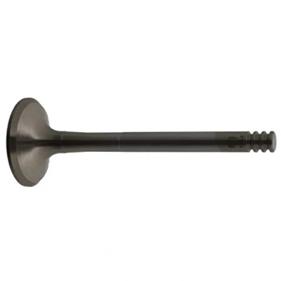 Imagen de FEBI BILSTEIN 21024 Válvula de Escape VOLKSWAGEN: Polo IV Hatchback, Golf 5, 4, SEAT: Leon I Ibiza 3, II Hatchback norauto,