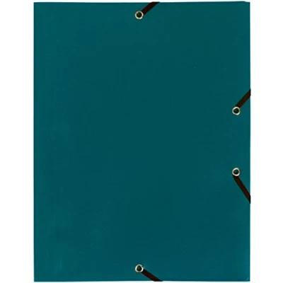 Imagen de Exacompta 55903E Carpeta con goma, color verde