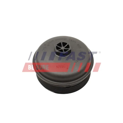 Imagen de Caja, filtro de aceite FAST FT38204
