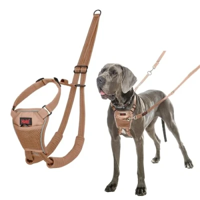 Imagen de Arnés anti tirones HALTI para evitar que tu perro tire de la correa, Ajustable, Ligero y Fácil Usar. Reflexiva Adiestramiento canino perros grandes (Talla L, Arena del Desierto)