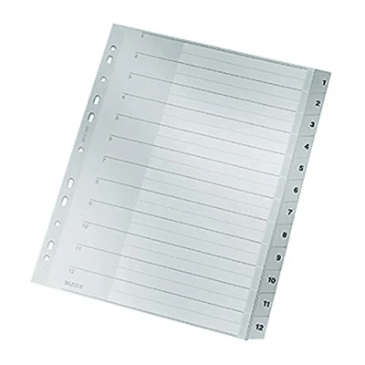 Imagen de Leitz Registro de plástico (1 12, A4, PP, 12 hojas), color gris