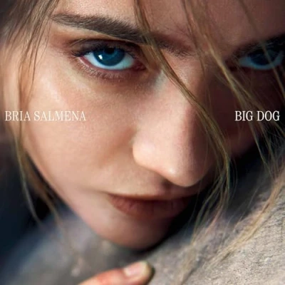 Imagen de Big Dog Vinilo Violeta Bria Salmena