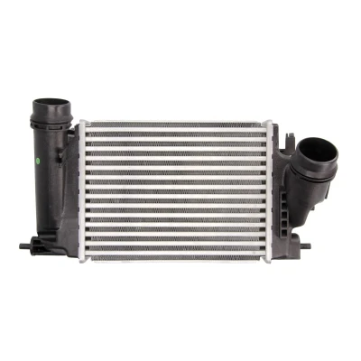 Imagen de THERMOTEC DA1005TT Intercooler 282 x 217 62 mm NISSAN: Qashqai 2, RENAULT: Kadjar