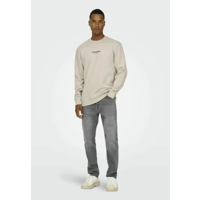 Imagen de Only &amp; Sons Onscurated Sudadera, Hombre, Talla: Small, Silver lining