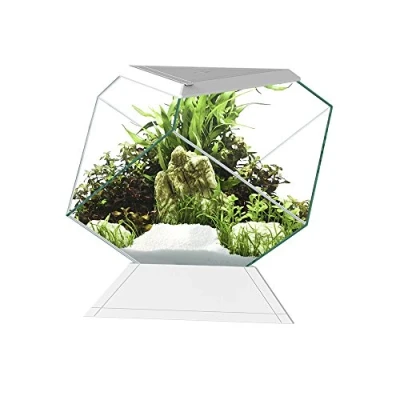 Imagen de Askoll 280669 Nexus 5C Betta Life Blanco