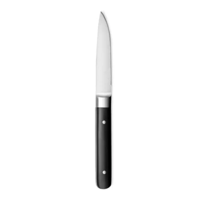 Imagen de Amefa Set de Cuchillos para Carne Fusion Bicolor Metal 12 Unidades 22 x 1,8 1,2 cm