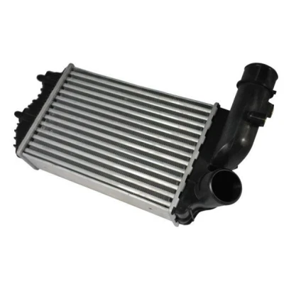 Imagen de THERMOTEC DAF001TT Intercooler Aluminio, Plástico 295 X 205 62 mm CITROËN: Jumpy I MPV, Jumper Furgón, Bus, FIAT: Ducato II Furgón