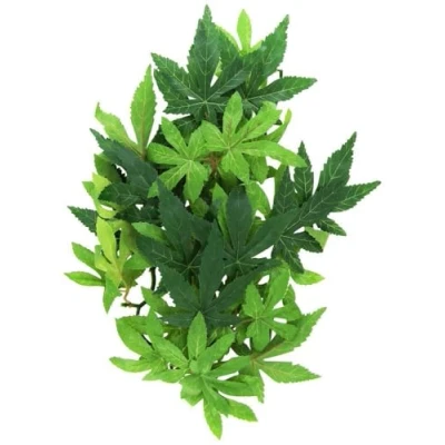 Imagen de ROLF HAGEN PET 546193 Exo Terra Planta Abuliton Seda (Grande)
