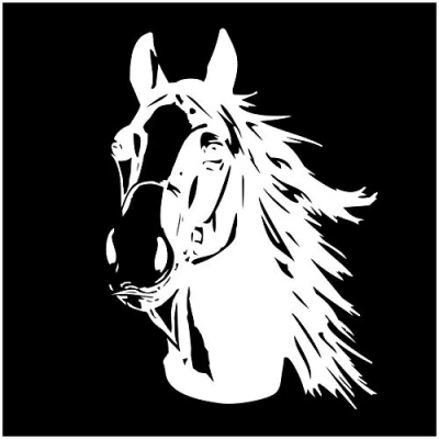 Imagen de Finest Folia Pegatina para coche, remolque, camión, caballo, K039 (blanco brillante, 30 x 21 cm)