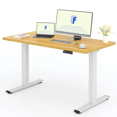 Imagen de FLEXISPOT 2 Motor Escritorio Elevable Eléctrico 120x80 con Una Tabla de Mesa Completa, Panel Memoria, Regulable en Altura, 100KG Carga, Blanco+Arce
