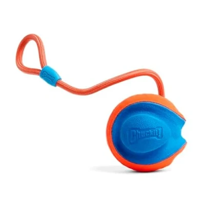 Imagen de Chuckit! Rope Fetch Juguete de persecución para Perros remolcador Pelota arrojadiza Resistente Talla única Diámetro 13,5 cm