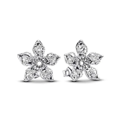 Imagen de Pandora Mujeres Pendientes Plata 293573C01