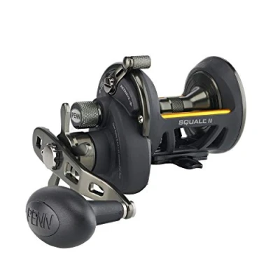 Imagen de PENN Squall II Star Drag Carrete de Pesca Convencional