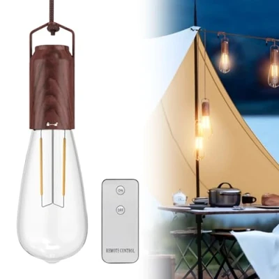 Imagen de Molbory Lámpara colgante recargable con mando a distancia, IP44 impermeable, vintage, sin electricidad, luces LED de dibujo, para interior y exterior