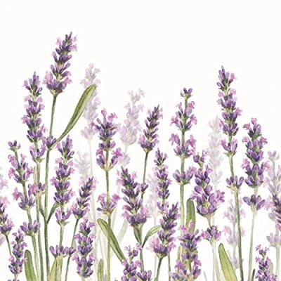 Imagen de 20 Servilletas de lavanda, flores y prados, verano, decoración mesa, 33 x cm