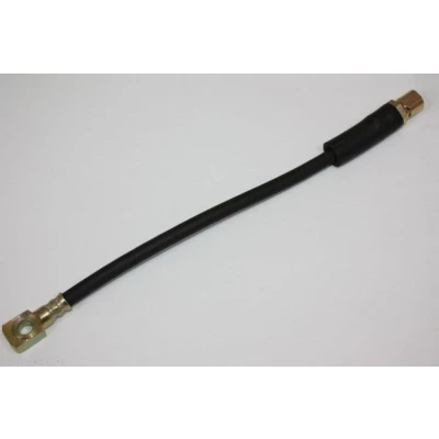 Imagen de Tubo flexible de frenos AUTOMEGA 120078910