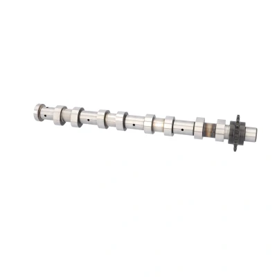 Imagen de FEBI BILSTEIN 192637 Árbol de Levas Lado escape CITROËN: Berlingo II, Xsara Picasso, C5 II Hatchback, PEUGEOT: 307 SW, Familiar, 3008 I