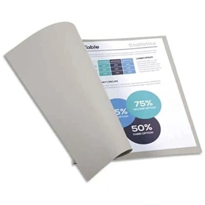 Imagen de Exacompta 410009E Lote de 100 Subcarpetas Forever® 220 g, DIN A4, 24 x 32 cm, Color Gris