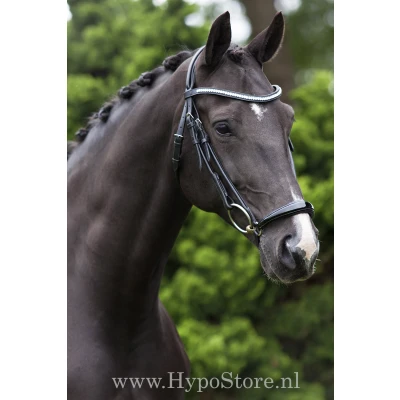 Imagen de Premiera &quot;Savona&quot; black bridle with padded drop patent leather noseband and anatomically shaped headpiece, gold buckles
