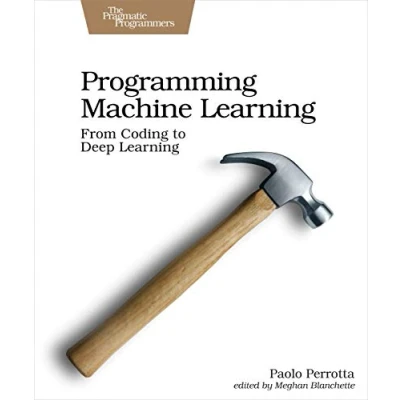 Imagen de Programming Machine Learning